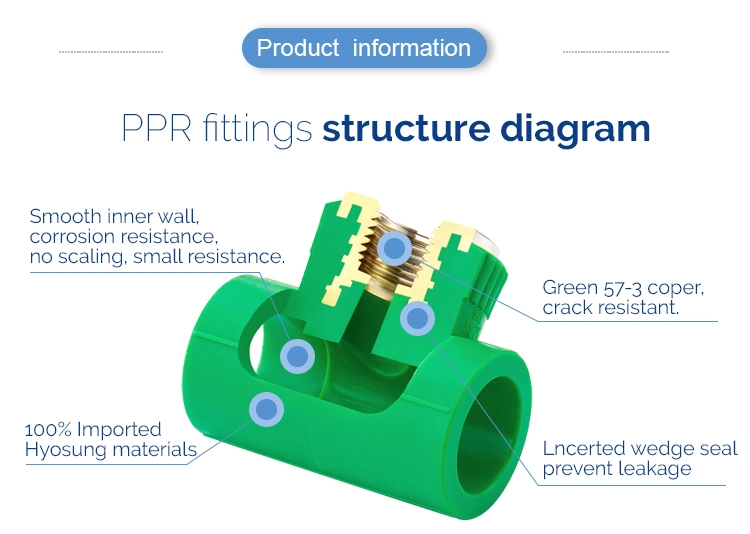 Ifan Wholesale Plumbing Material PPR Fittings Customized Green PPR Pipes and Fittings